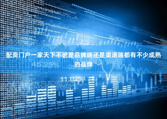 配资门户一家天下不论是品牌端还是渠道端都有不少成熟的品牌