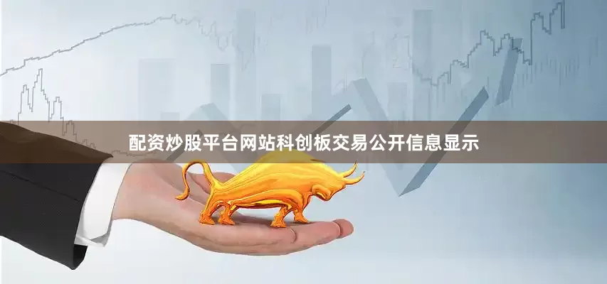 配资炒股平台网站科创板交易公开信息显示