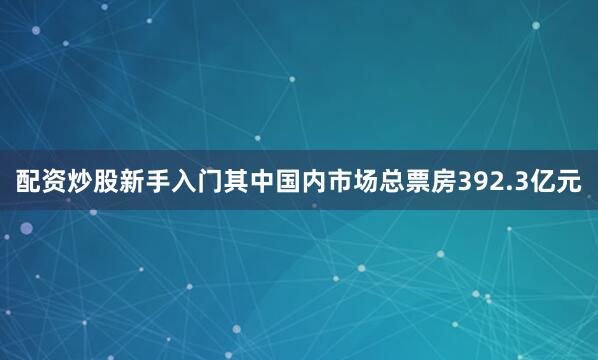 配资炒股新手入门其中国内市场总票房392.3亿元